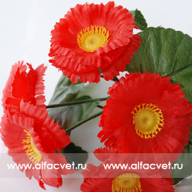 искусственные цветы фиалка-маргаритка цвета красный 4