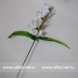искусственные цветы ветки колокольчиков (гладиолус) цвета белый 6